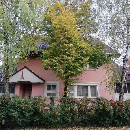 Balogh vendegház Hotel Szeged Kültér fotó