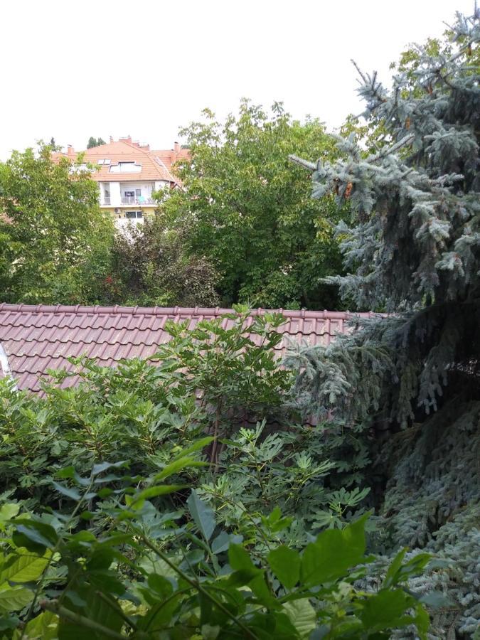 Balogh vendegház Hotel Szeged Kültér fotó